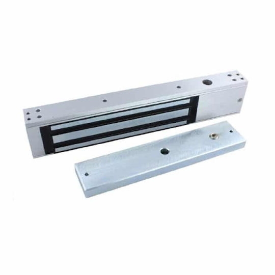 C Gate Electric Strike