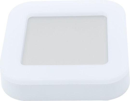 Vito Επιτοίχια Εξωτερική Πλαφονιέρα LED IP65 15W με Φυσικό Λευκό Φως 19x19x4.5εκ.
