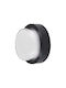 Braytron Επιτοίχια Εξωτερική Πλαφονιέρα LED IP65 15W