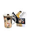 Carmani Becher aus Porzellan Mehrfarbig 350ml