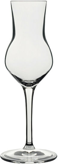 Luigi Atelier Grappa Glas Likör/Ouzo aus Kristall Kelch 80ml Luigi Atelier Grappa Glas Likör/Ouzo aus Kristall Kelch 80ml