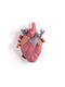 Seletti Decorative Vase Love Pink 16.5x9x25cm