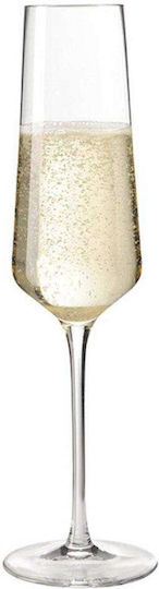 Leonardo Leonardo Glas Kelch Champagner Transparent 280ml