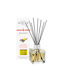 Maison Berger Paris Diffuser with Fragrance Vanilla 6003 125ml