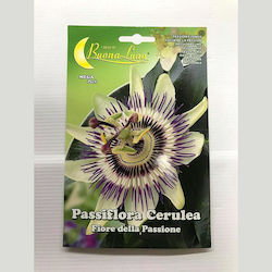 Primasem Samen Passiflora