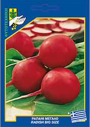 Geniki Fytotechniki Athinon Seeds Radish Giant Red