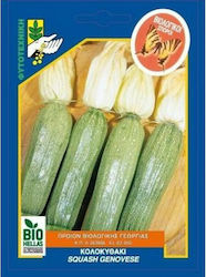 Γενική Φυτοτεχνική Αθηνών Seeds Pumpkinς Zucchini Organic Cultivation