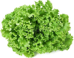 Geoponiki Seeds Lettuce 2.5gr