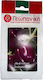 Geoponiki Seeds Peppers Andromeda Purple 10pcs
