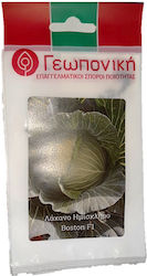 Geoponiki F1 Seeds Cabbage