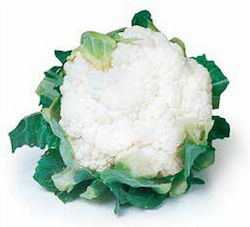 Syngenta Seeds Cauliflower 2500pcs