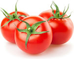 Syngenta Seeds Tomatoς