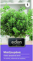 Eden Σπόροι Ματζουράνας