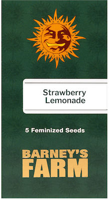 Barneys Farm Seeds Strawberryς