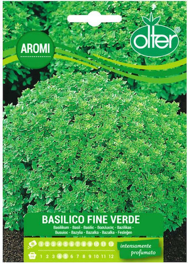 Olter Semințe Busuioc Fine Verde