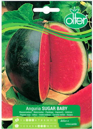 Olter Σπόροι Καρπουζιού Sugar Baby