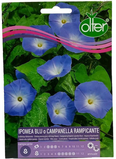 Olter Семена Bellflowersς Червен