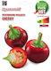 Sgaravatti Bulb Ardeiς Picant