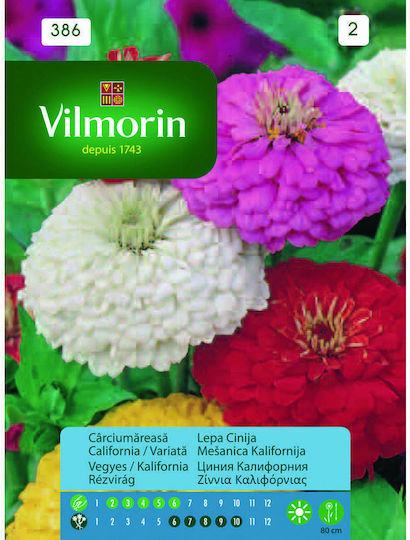 Vilmorin Seeds Zinnia 1gr