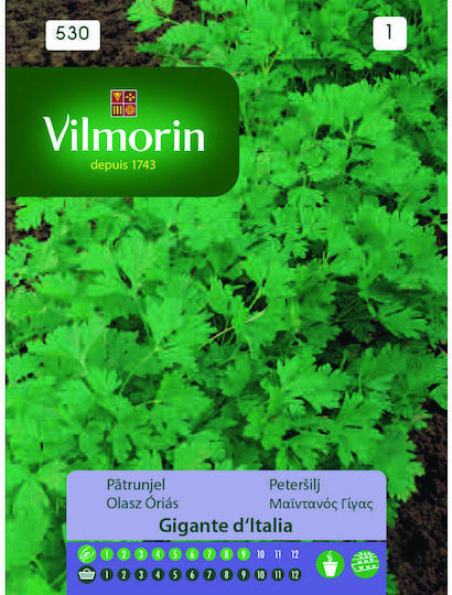 Vilmorin Σπόροι Μαϊντανός Γίγας 5gr