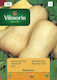 Vilmorin Samen Kürbisς Zucchini Butternuss 1gr