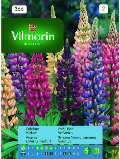 Vilmorin Semințe Lupin 0.2gr