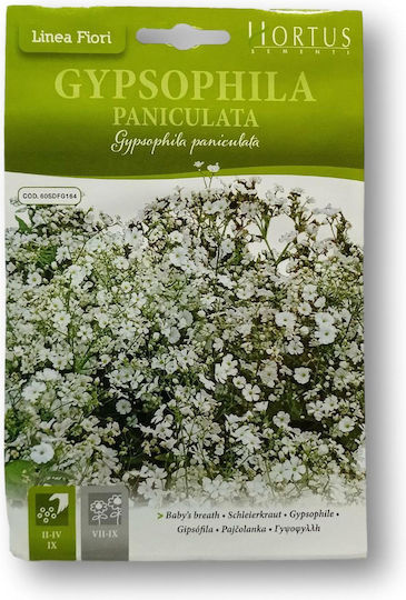 Hortus Sementi Semințe Gypsophila 2.5gr