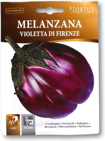 Hortus Sementi Seeds Aubergine Flaska