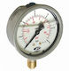 Watts Manometers Glycerin 28840