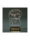 World of Wood Table Decorative Lamp LED Transparent