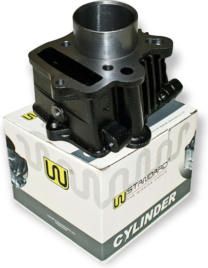 Honda Motorradmotorzylinder 47mm für Honda GLX