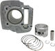 Titan Motorcycle Pistons & Cylinders Set 55mm for Yamaha Crypton R