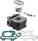 Set Piston și Cilindru Motocicletă pentru Piaggio Libertate / Fly 50 / ZIP