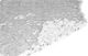 Ecoshadow Rectangular Camouflage Net White with PU Coating 3x2m 160gr/m²