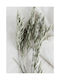 Walls Poster Green Herbs 70x100cm