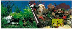 Europet Bernina Aquarium Decoration Poster