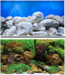 Amtra Decorative Poster for Aquariums