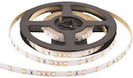 Eurolamp Bandă LED Alimentare 12V cu Lumină Alb Natural Lungime 10m