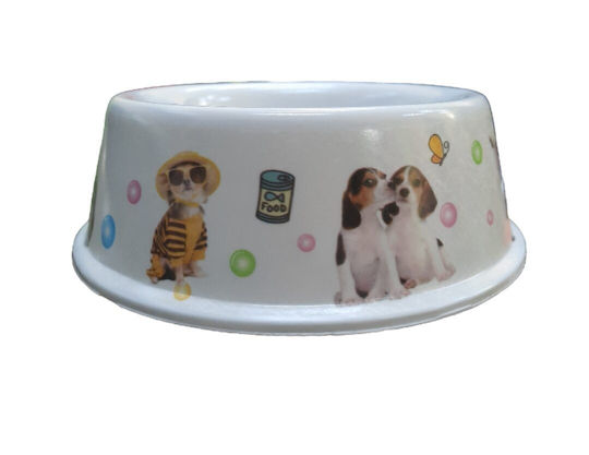 Bol De Mâncare Și Apă Pentru Câine 450ml