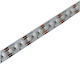 Avide Ταινία LED 15.001.1769 12V RGB Φως 5m Τύπου COB