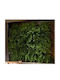 Panou artificial de frunziș 2.5x2m