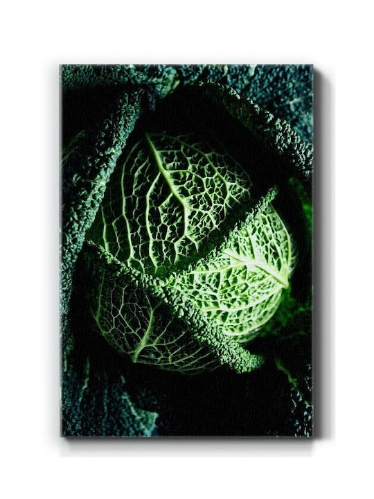 Walls Savoy Cabbage Painting on Canvas 40x50cm