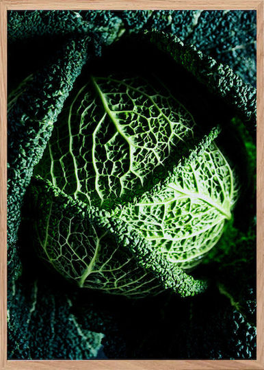 Walls Savoy Cabbage Painting on Canvas 40x50cm