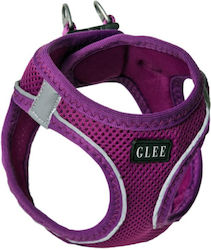 Glee Purple Glee Purple