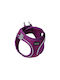 Glee Ham pentru câini Violet X-Large 89374
