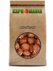 Karpomania Hazelnuts Raw Unsalted 100gr K- 8803 -a