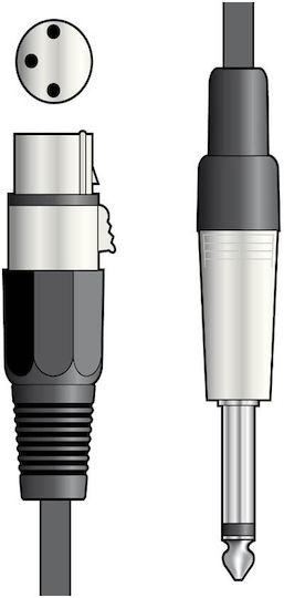 QTX Sound Cable XLR female - 6.3mm male Μαύρο 6m 190.087UK
