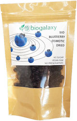 Biogalaxy Βιολογικά Blueberries Χωρίς Ζάχαρη 100gr