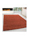 Rug Rectangular Orange