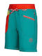 Mantra Men's Shorts Green